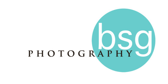 Logo for DVD_BSG Photography